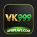 VK999