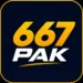 667PAK
